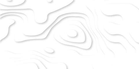 Modern wallpaper texture and realistic design use for banner flyers, posters.. Abstract White paper cut background with lines. topography realistic papercut decoration textured background.