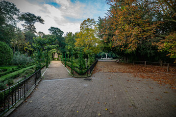 Hojas de otoño caídas en el suelo con colores tierra