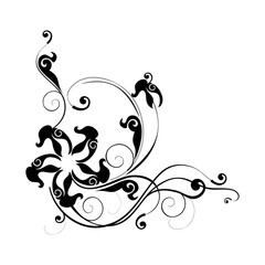 Vector floral calligraphy element flourish