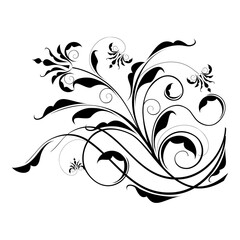 Vector floral calligraphy element flourish