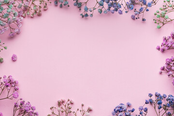 Colored gypsophila flowers on pink background
