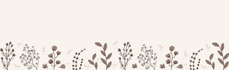 Horizontal Border Dry Herbs. Natural medicine. Vector banner with branches twigs cotton in beige.