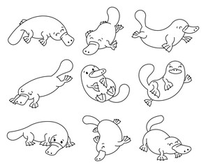 Cute little platypus. Coloring Page. Cartoon funny animal characters. Hand drawn style. Vector drawing. Collection of design elements.
