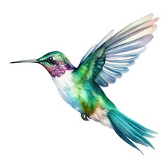 Vibrant Hummingbird Watercolor Illustration