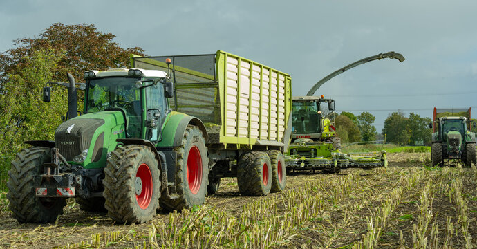Hamburg, Germany - October 11, 2023: Claas Jaguar maize chopper and FENDT Vario tractor with Veenhuis Super Silagewagon during the maize harvest