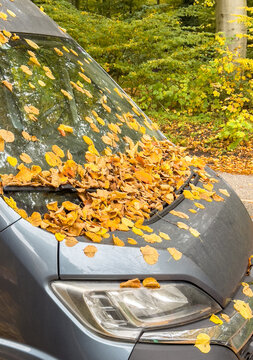 Herbstanfang, herabfallende Bl&auml;tter und Laub auf einer Autoscheibe