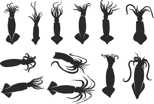 Squid Icon Images – Browse 88 Stock Photos, Vectors, and Video