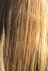 Naklejka premium Straight female blonde hair background. Texture