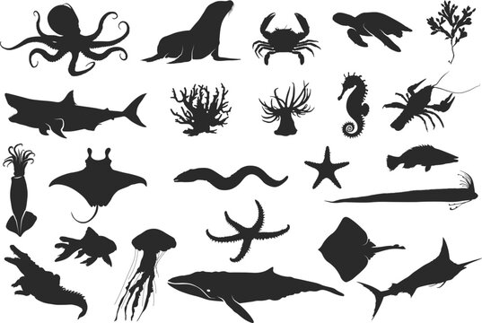 Sea animal silhouette, Ocean animal silhouette, Black silhouettes of  sea life, sea animal, ocean animal, Animal vector clipart, Sea life silhouette.
