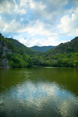 Fototapeta na wymiar Beautiful view. Green lake with a forest