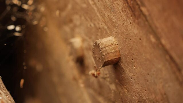 Close-up of a wooden peg in an old wooden structure.