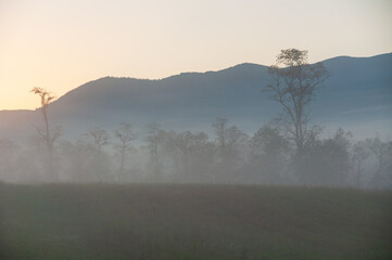 The Great Smoky Mountains National Park