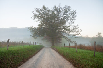 The Great Smoky Mountains National Park