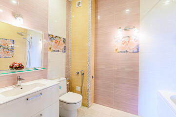 interior apartment room bathroom, sink, decorative elements, toilet