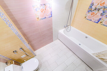 interior apartment room bathroom, sink, decorative elements, toilet