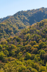 Obraz premium The Great Smoky Mountains National Park