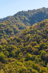 The Great Smoky Mountains National Park