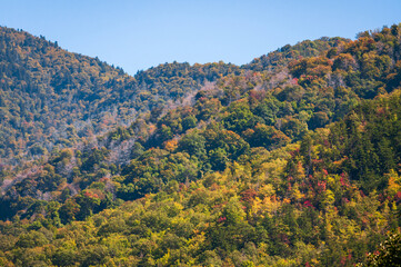 Obraz premium The Great Smoky Mountains National Park