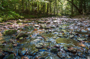 The Great Smoky Mountains National Park