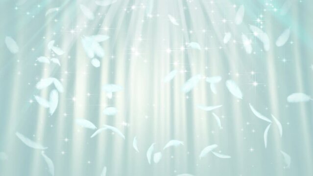 舞い落ちる星屑と羽と純白のカーテンの背景　ループ