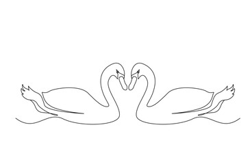 swan duck couple in love love line art design