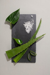 The gray platform is decorated with green leaves, fresh aloe vera and white salt. Space for product display. Natural cosmetics concept with minimalist background.