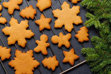 Fototapeta na wymiar Gingerbread cookies and fir tree branch