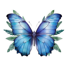 Blue Morpho Butterfly on white background