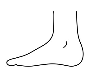 横から見た人間の足のシンプルなイラスト