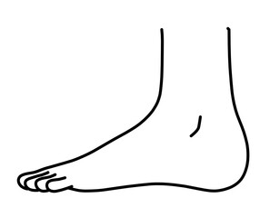 横から見た人間の足のシンプルなイラスト