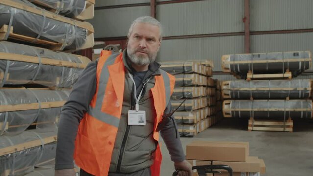 Medium shot of storeman pulling cart loaded with cargo during workday at big warehouse