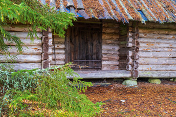 Fototapeta na wymiar Log cabin in the woodland