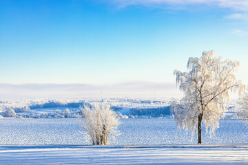 Beautiful winter landscape with hoarfrost on the trees by the roadside