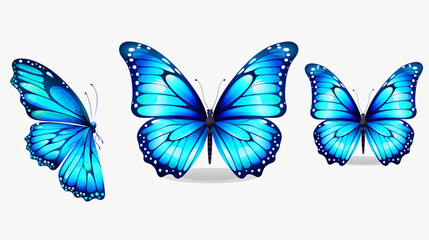 Beautiful blue butterflies
