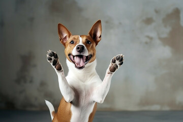Adorable Brown and White Dog Smiling and Spreading Cheer - obrazy, fototapety, plakaty