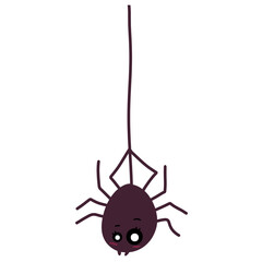 spider 
