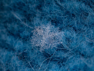 macroscopic image of a snowflake, macro photography of a snowflake
