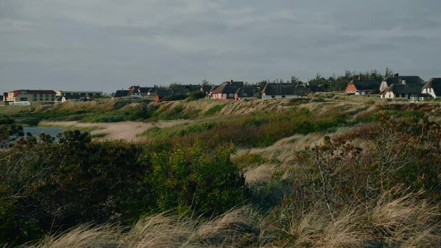 Amusing meadows of Jutland Batlic sea Heligoland Denmark 