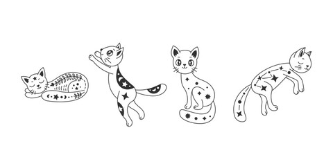 Celestial cat set in doodle style. Hand drawn kawaii kittens collection with star, flower and crescent in anime style. Vector illustration. Esoteric animal for tattoo, kids, pet loss