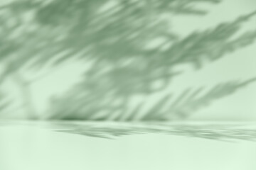 Obraz premium Palm leaf shadow overlay. Minimalist shadow overlay for product placement.