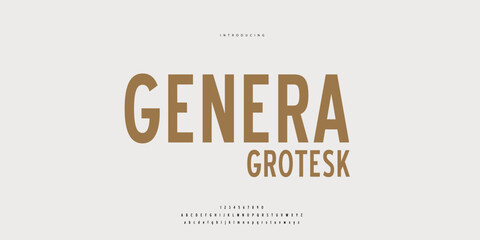 Elegant Font Uppercase Lowercase and Number. Classic Lettering Minimal Fashion Designs. Typography modern Sen serif fonts regular decorative vintage concept. vector illustration © SyedMuhammad