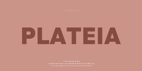 Elegant Font Uppercase Lowercase and Number. Classic Lettering Minimal Fashion Designs. Typography modern Sen serif fonts regular decorative vintage concept. vector illustration © SyedMuhammad