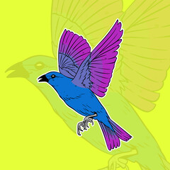 flying bird cartoon illustration