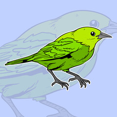 green bird cartoon illustration