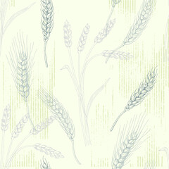 Wheat Agriculture Seamless Pattern. Wheat hand-drawn vector illustration for background of bread label design, bakery packaging. Homemade cooking banner. Cooking courses banner.