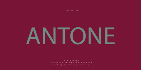 Elegant Font Uppercase Lowercase and Number. Classic Lettering Minimal Fashion Designs. Typography modern Sen serif fonts regular decorative vintage concept. vector illustration © SyedMuhammad