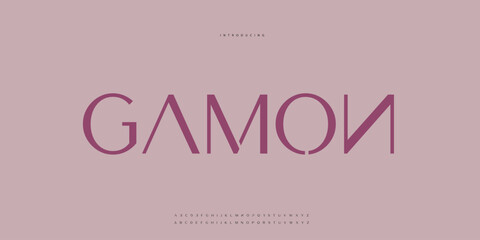 Elegant Font Uppercase Lowercase and Number. Classic Lettering Minimal Fashion Designs. Typography modern Sen serif fonts regular decorative vintage concept. vector illustration