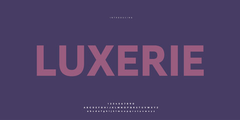 Elegant Font Uppercase Lowercase and Number. Classic Lettering Minimal Fashion Designs. Typography modern Sen serif fonts regular decorative vintage concept. vector illustration © SyedMuhammad