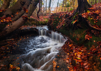 Meandering streams and small waterfalls through autumn woodland on the high weald in east Sussex south east England UK
