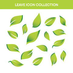 Organic Leaf Vector Graphics Pack